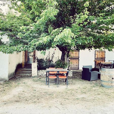 Maison Au Milieu Des Chevaux LʼIsle-sur-la-Sorgue Dış mekan fotoğraf
