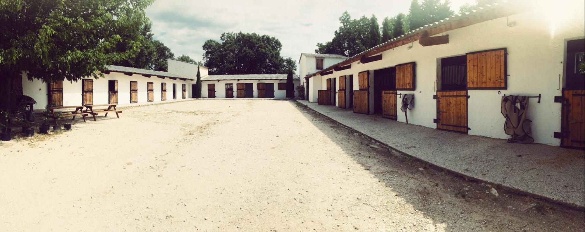 Maison Au Milieu Des Chevaux LʼIsle-sur-la-Sorgue Dış mekan fotoğraf