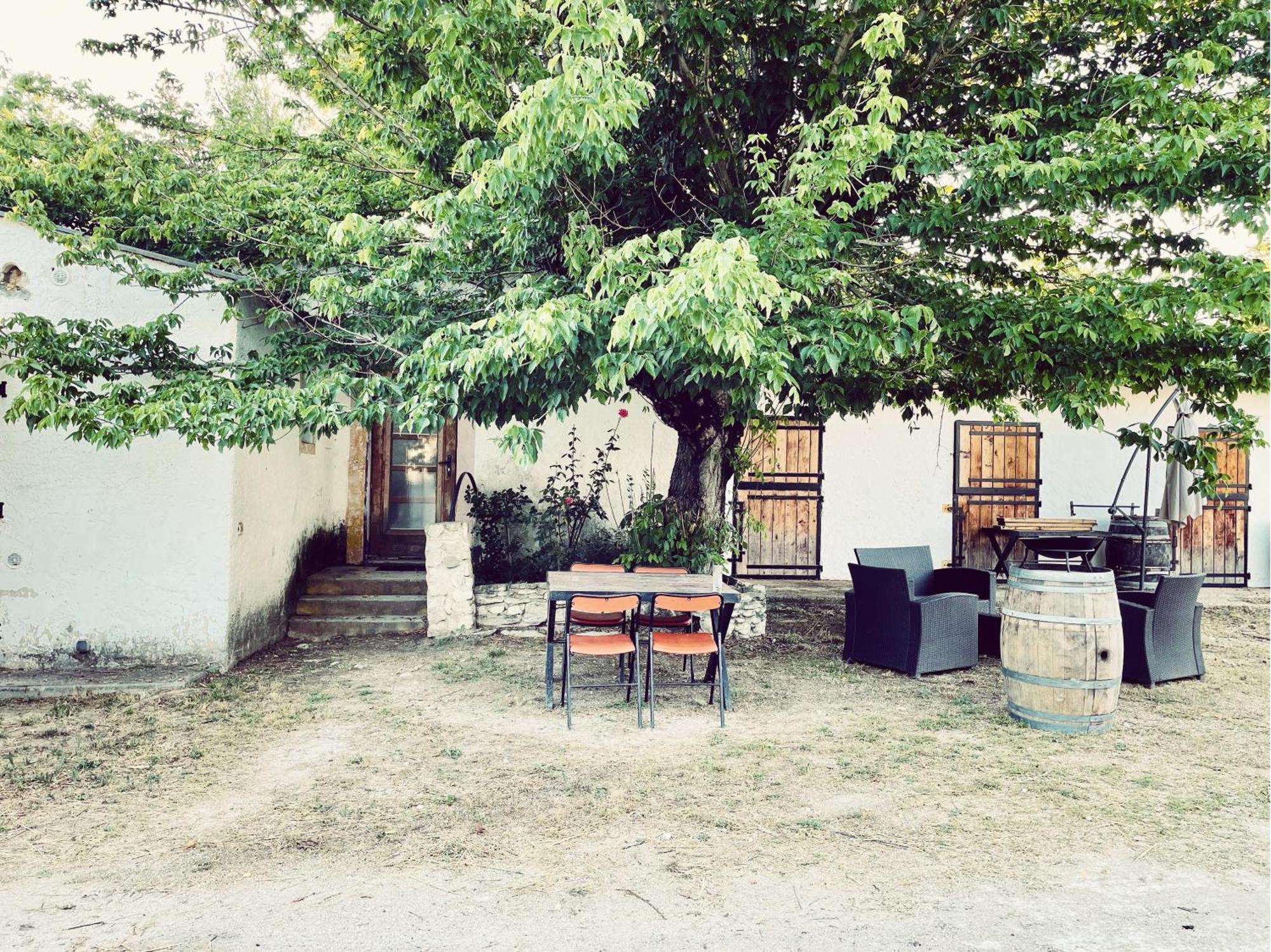Maison Au Milieu Des Chevaux LʼIsle-sur-la-Sorgue Dış mekan fotoğraf